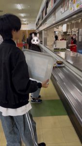 宮崎大学学食でのランチタイム体験