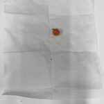 小さなトマトから広がる、大きな学び