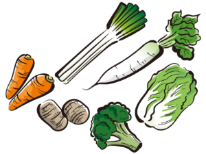 冬野菜のイメージ