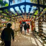 20260110_青島神社参拝④_青島神社